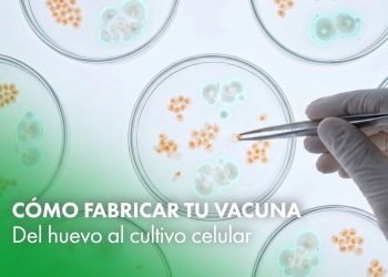 Cómo fabricar tu vacuna: del huevo al cultivo celular
