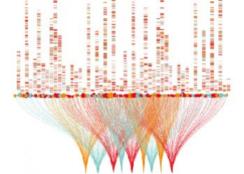 La bioinformática se une a la lucha contra el cáncer gracias al Big Data