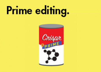 Descubre la última revolución en editado del genoma: el prime editing.