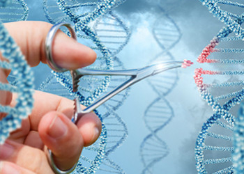 Repasamos los grandes avances del 2019 en materia de genética humana