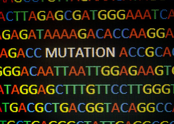 El genoma del cáncer, ahora al descubierto